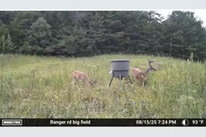 7596 Red Bud NE, Ranger, GA 30734 - Photo 26