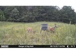 7596 Red Bud NE, Ranger, GA 30734 - Photo 26