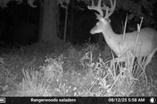 7596 Red Bud NE, Ranger, GA 30734 - Photo 28