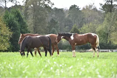 14440 Cogburn Road, Alpharetta, GA 30004 - Photo 58