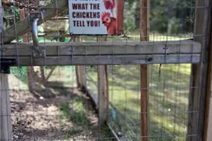 197 Evecliff Dr, Dallas, GA 30132 - Photo 36