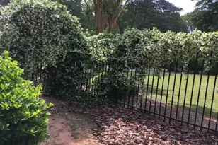 1436 Oak Grove Dr, Decatur, GA 30033 - Photo 42