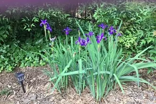 1436 Oak Grove Dr, Decatur, GA 30033 - Photo 38