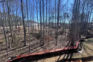 287 Bell Grove Ln, Suwanee, GA 30024 - Photo 10