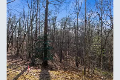 56 Robins Ridge, Blue Ridge, GA 30513 - Photo 48