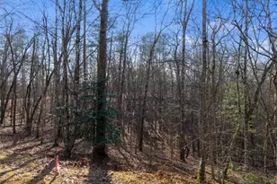 56 Robins Ridge, Blue Ridge, GA 30513 - Photo 48