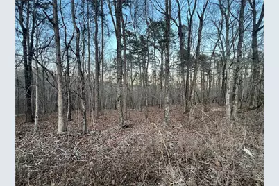 0 Ireland Drive, Rome, GA 30161 - Photo 1