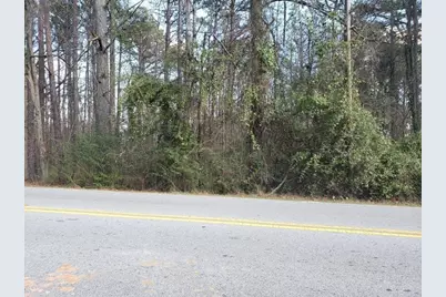 0 Pope Road, Douglasville, GA 30135 - Photo 2