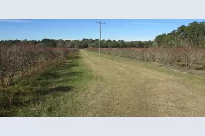 1019 D H Alderman Road, Moultrie, GA 31788 - Photo 10