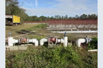 1019 D H Alderman Road, Moultrie, GA 31788 - Photo 32