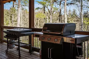 155 Peppermint Ln, Epworth, GA 30541 - Photo 54