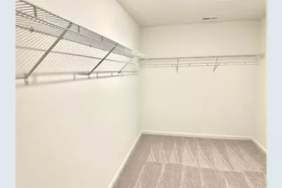 236 Vision Street, Bethlehem, GA 30620 - Photo 18