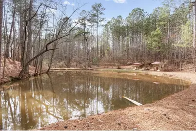 455 M Sanders Road, Buchanan, GA 30113 - Photo 50