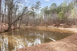 455 M Sanders Rd, Buchanan, GA 30113 - Photo 50