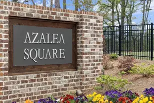 1125 Holland Rose Dr, Lawrenceville, GA 30043 - Photo 46