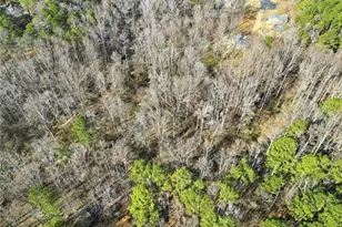 153 Spring Creek Ct, Canton, GA 30115 - Photo 42