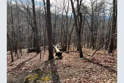 4528 Sassafras Mountain Trail, Jasper, GA 30143 - Photo 6