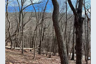 4528 Sassafras Mountain Trail, Jasper, GA 30143 - Photo 8