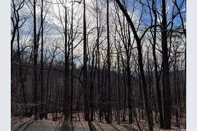 4528 Sassafras Mountain Trail, Jasper, GA 30143 - Photo 4