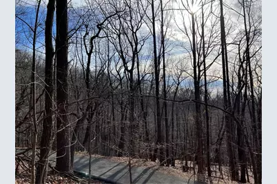 4528 Sassafras Mountain Trail, Jasper, GA 30143 - Photo 2