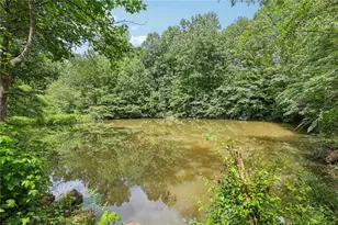 4685 Braselton Hwy, Hoschton, GA 30548 - Photo 36