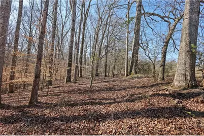 0 Winford Smith Road, Athens, GA 30607 - Photo 4