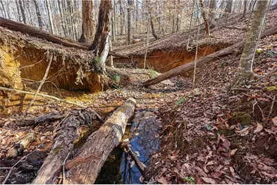 0 Winford Smith Road, Athens, GA 30607 - Photo 6