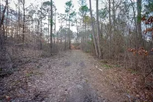 145 Moores Ferry Dr SW, Plainville, GA 30733 - Photo 58