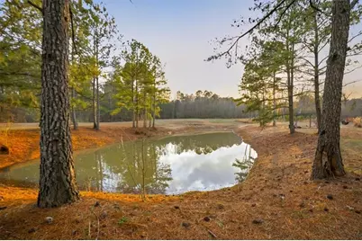 145 Moores Ferry Drive SW, Plainville, GA 30733 - Photo 68