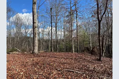 200 Mincey Acres Drive, Murrayville, GA 30564 - Photo 6