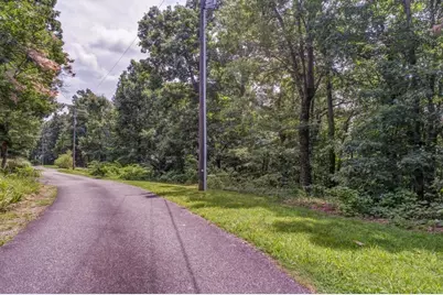 00 Burnt Mountain Ridge Road, Jasper, GA 30143 - Photo 4