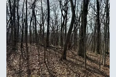 00 Burnt Mountain Ridge Road, Jasper, GA 30143 - Photo 10