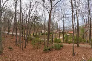 80 Treetop Ln, Blairsville, GA 30512 - Photo 30