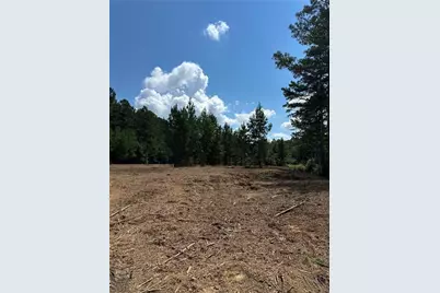 Tr 2 Culp Lake Road, Cedartown, GA 30125 - Photo 6