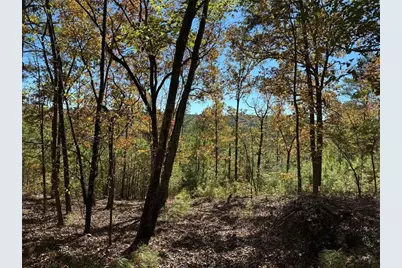 Tr 2 Culp Lake Road, Cedartown, GA 30125 - Photo 1