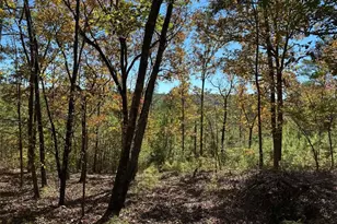 Tr 2 Culp Lake Rd, Cedartown, GA 30125 - Photo 1