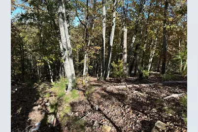 Tr 2 Culp Lake Road, Cedartown, GA 30125 - Photo 4