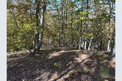 Tr 3 Culp Lake Road, Cedartown, GA 30125 - Photo 1