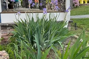 4060 Merritt Dr, Cumming, GA 30041 - Photo 116