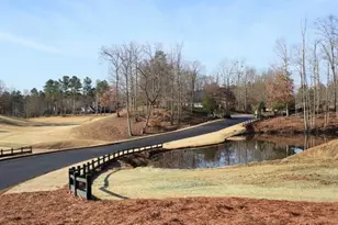 4610 Blakeford Ct, Flowery Branch, GA 30542 - Photo 22