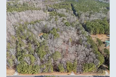 490 Dorsey Road, Hampton, GA 30228 - Photo 68
