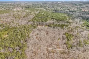 490 Dorsey Rd, Hampton, GA 30228 - Photo 74