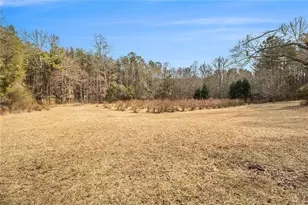 490 Dorsey Rd, Hampton, GA 30228 - Photo 66