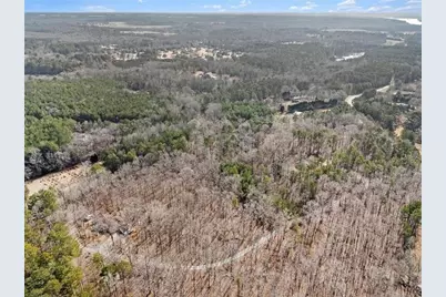 490 Dorsey Road, Hampton, GA 30228 - Photo 70