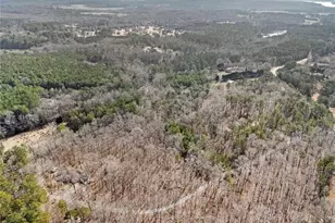 490 Dorsey Rd, Hampton, GA 30228 - Photo 70