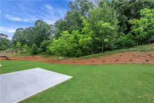 186 Trace Blf, Dawsonville, GA 30534 - Photo 48