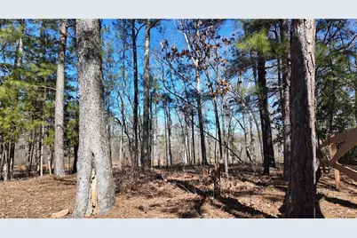 725 Old Jackson Rd, McDonough, GA 30252 - Photo 58