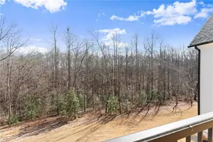 254 Samson Wy, Cleveland, GA 30528 - Photo 72