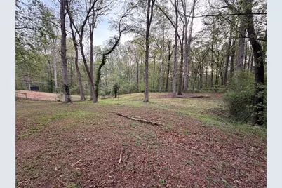 3406 Blackberry Lane, Villa Rica, GA 30180 - Photo 28
