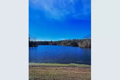49 Challenger Way, Menlo, GA 30731 - Photo 2